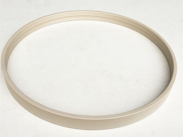PEEK Moulding Ring