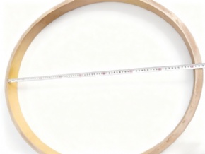 PEEK Moulding Ring